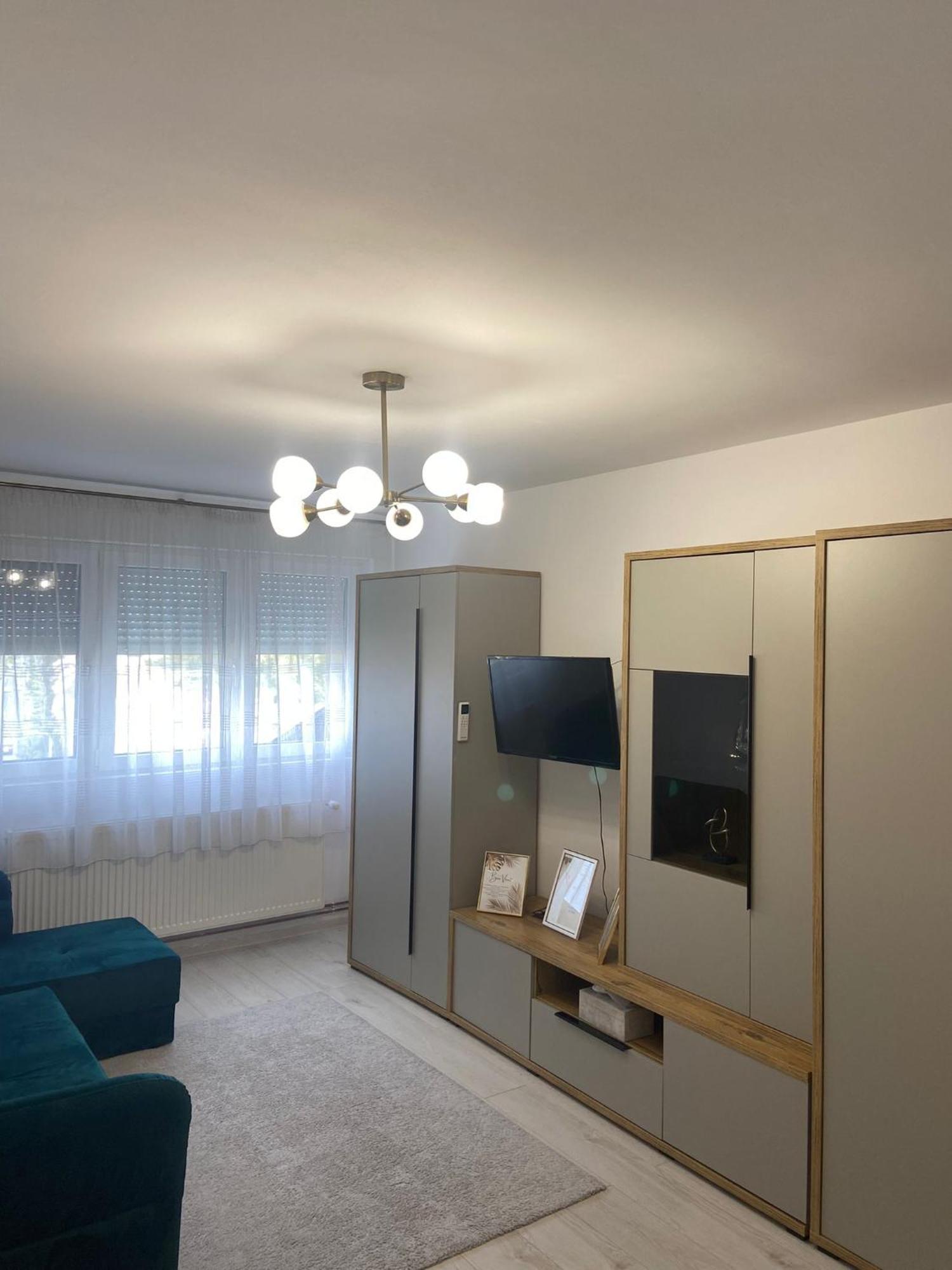 The Performant Apartment Satu Mare Bagian luar foto