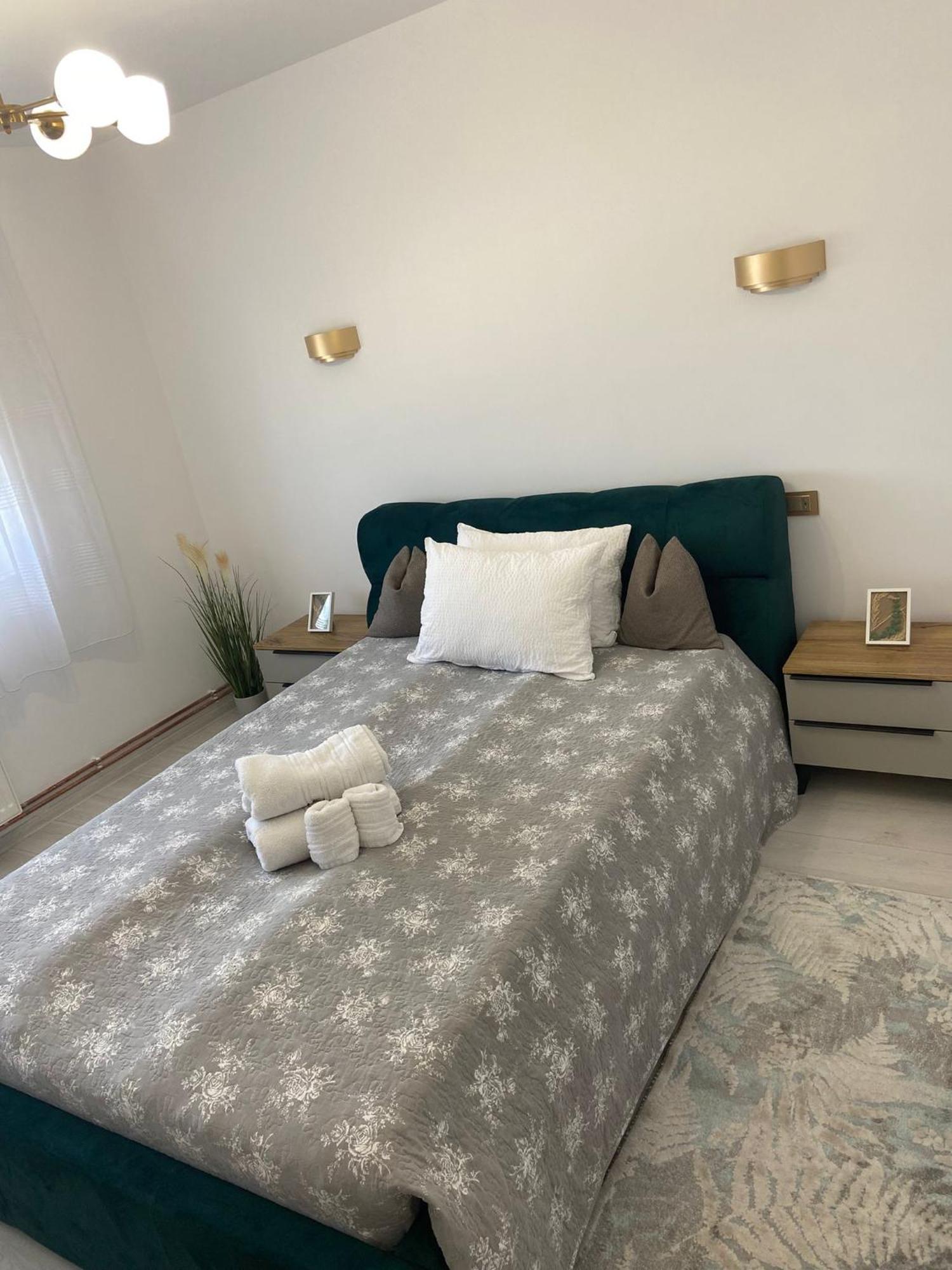 The Performant Apartment Satu Mare Bagian luar foto